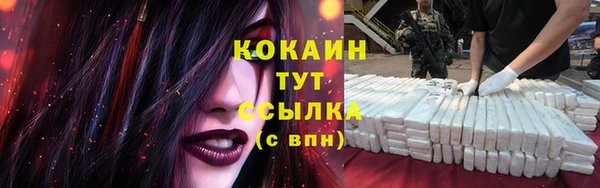 меф Ельня