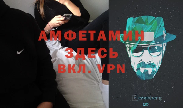 сатива Елизово