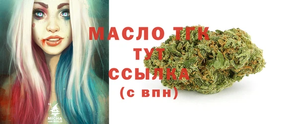 меф Ельня