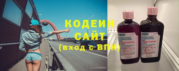 сатива Елизово