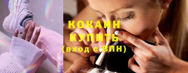 меф Ельня