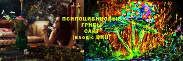 меф Ельня