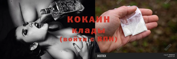 меф Ельня