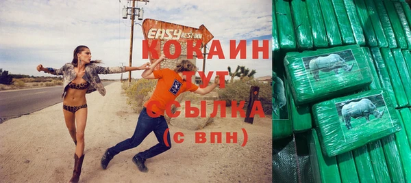 сатива Елизово
