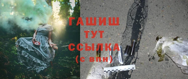 меф Ельня