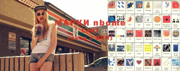 сатива Елизово