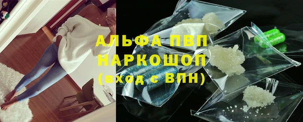 сатива Елизово