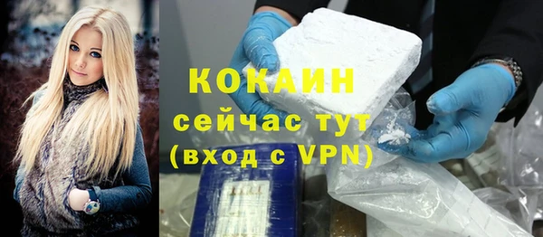 сатива Елизово