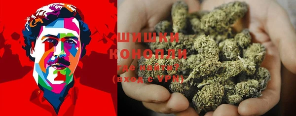 сатива Елизово